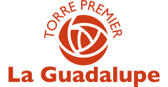 logo-torre-premier